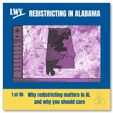 Instagram Post -  Redistricting Blog #1